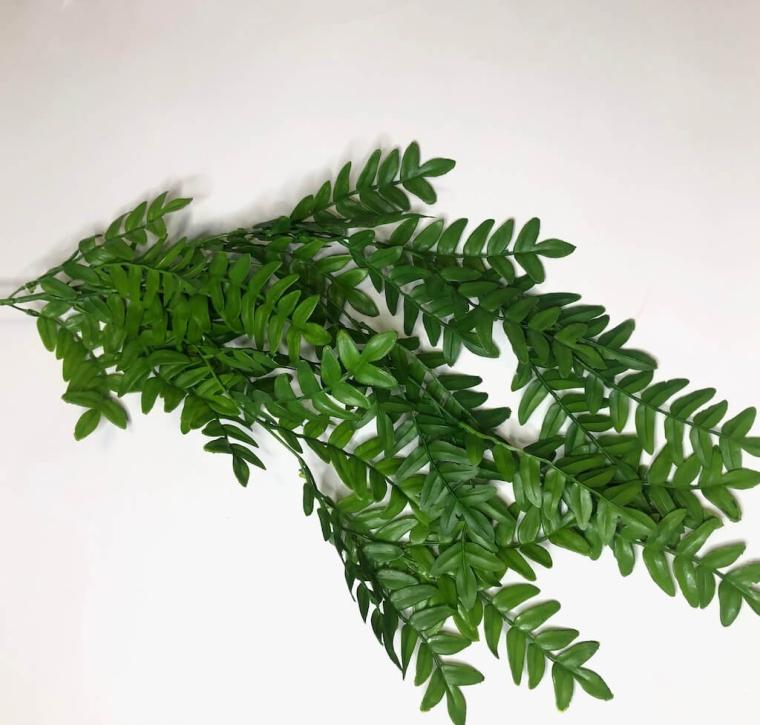 Загружен программно: 1681325803690730.jpg