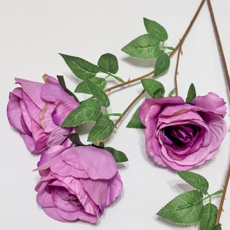 Загружен программно: 1705307409948471.jpg