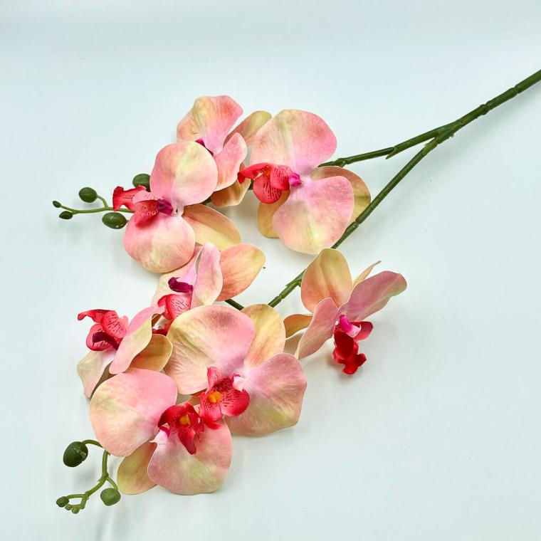 Загружен программно: 1709838013699440.jpg