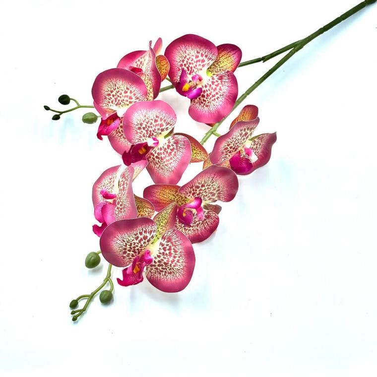 Загружен программно: 1709838014198556.jpg