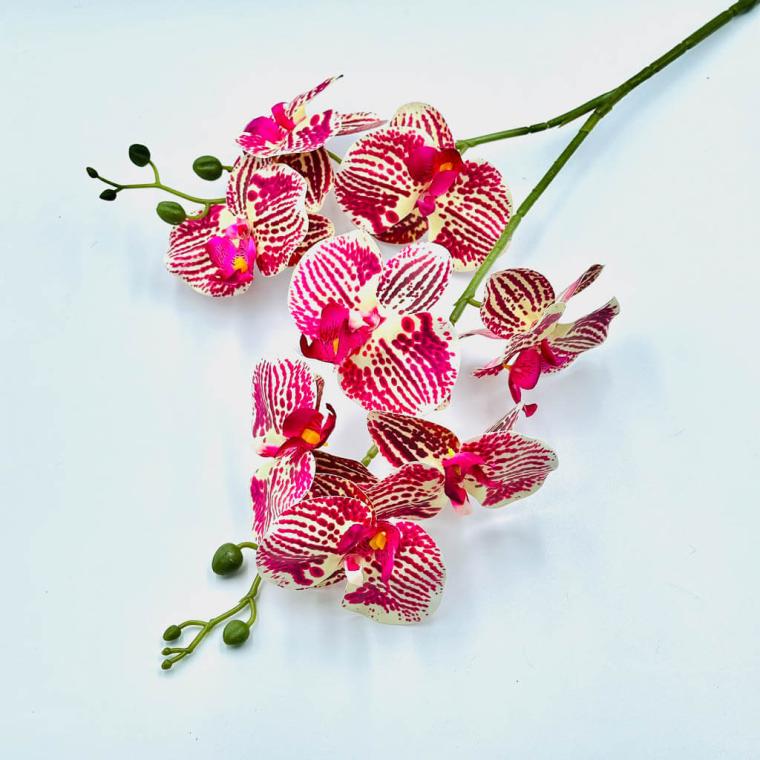 Загружен программно: 170983801529139.jpg