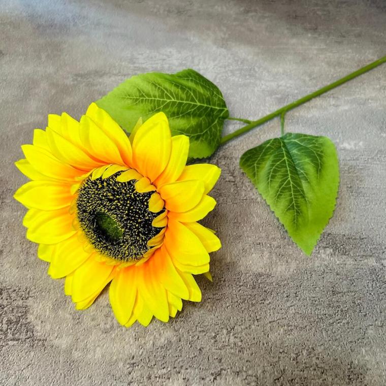 Загружен программно: 171291810137557_0.jpg