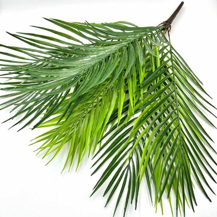 Загружен программно: 1719314518800498.jpg