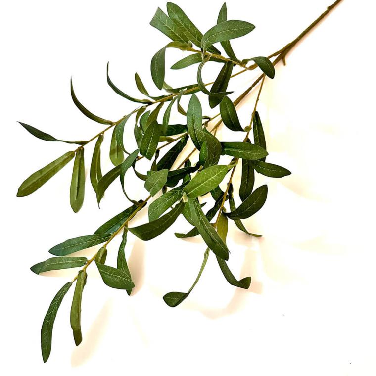 Загружен программно: 1719397616504277.jpg