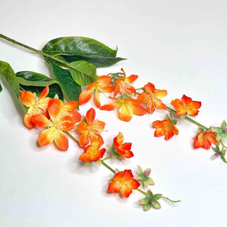 Загружен программно: 1719508424630151.jpg