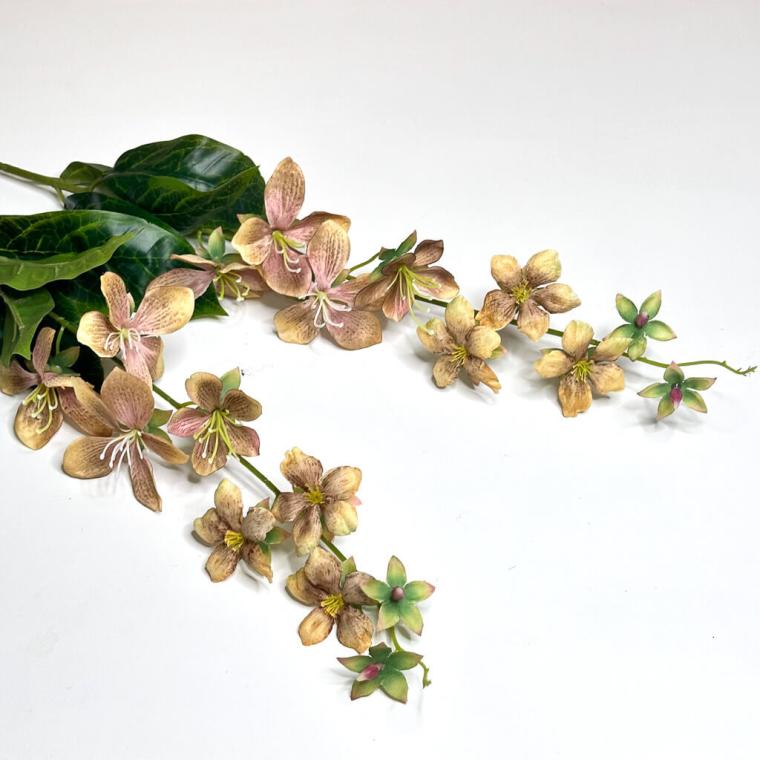 Загружен программно: 171950842619649.jpg