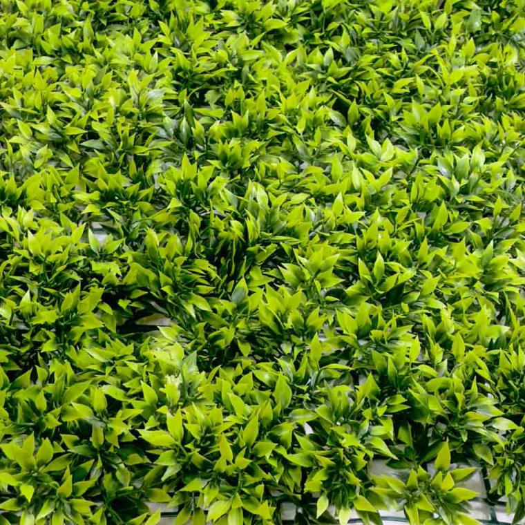 Загружен программно: 1739097850925472.jpg