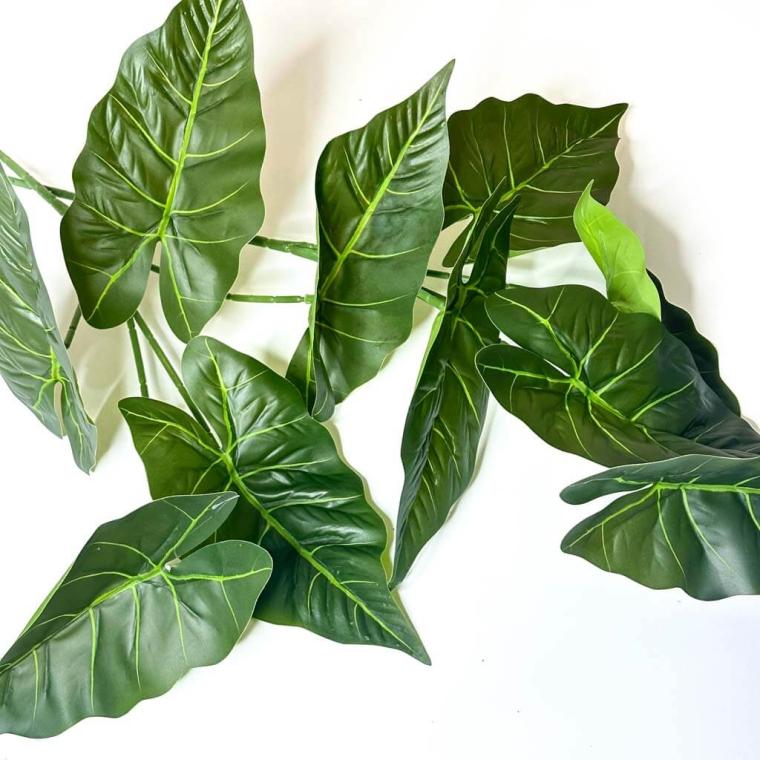 Загружен программно: 1747298016969702.jpg