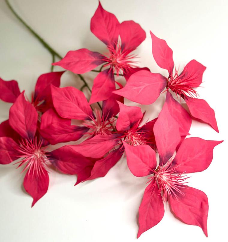 Загружен программно: 1747682185862172.jpg