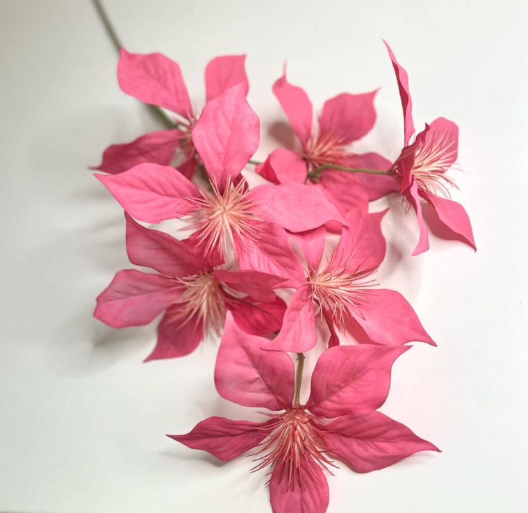 Загружен программно: 1747682222518865.jpg