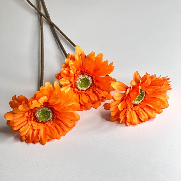 Загружен программно: 1747901499802997.jpg