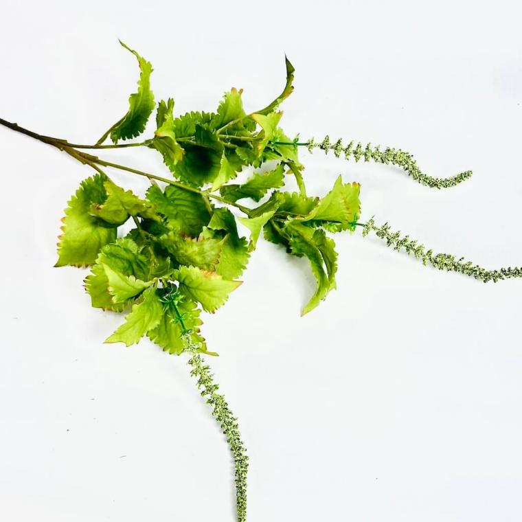 Загружен программно: 1750604631689041.jpg