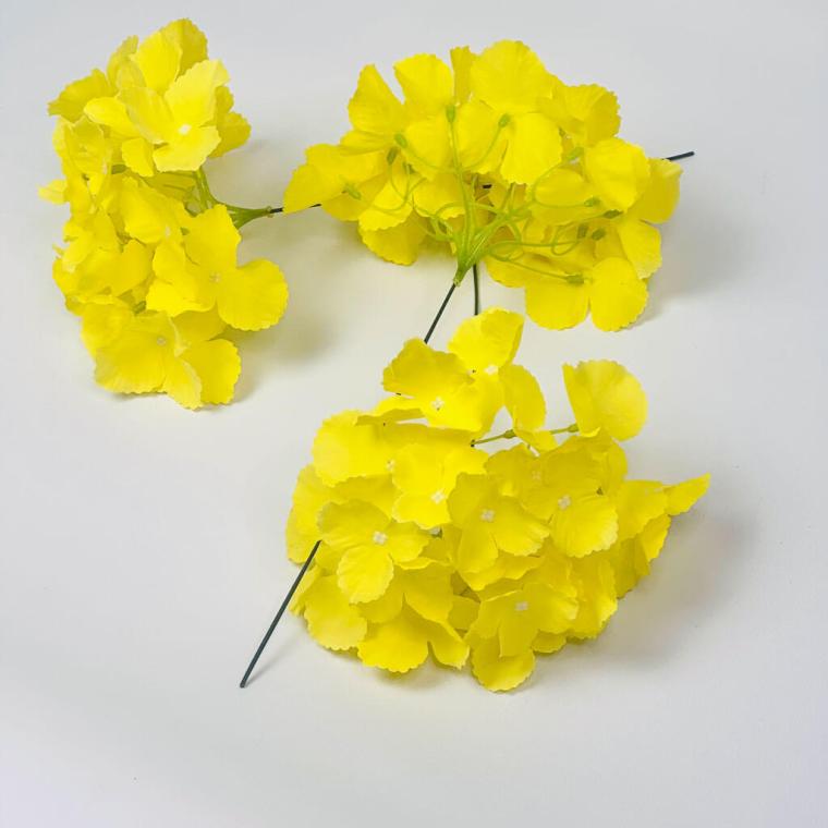 Загружен программно: 1753700445125066.jpg