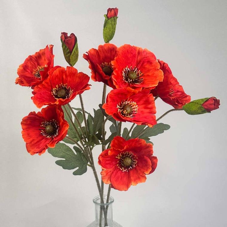 Загружен программно: 1753723286148175.jpg