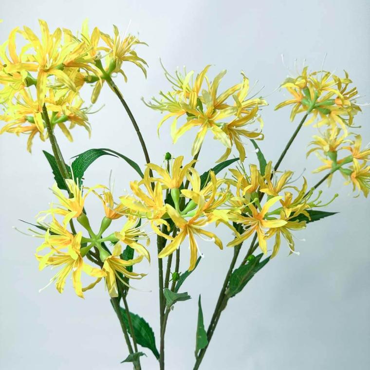 Загружен программно: 175378932244127.jpg