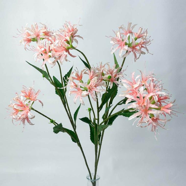 Загружен программно: 1753789341986245.jpg