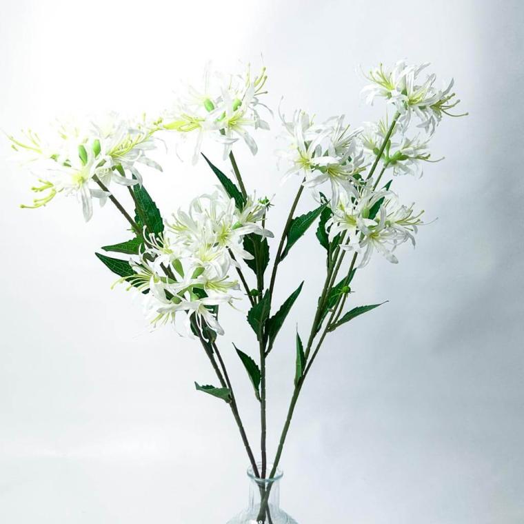 Загружен программно: 1753789342791077.jpg