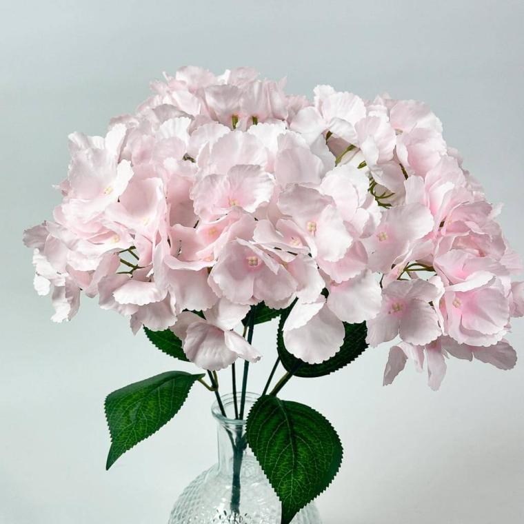 Загружен программно: 1753962176987544.jpg