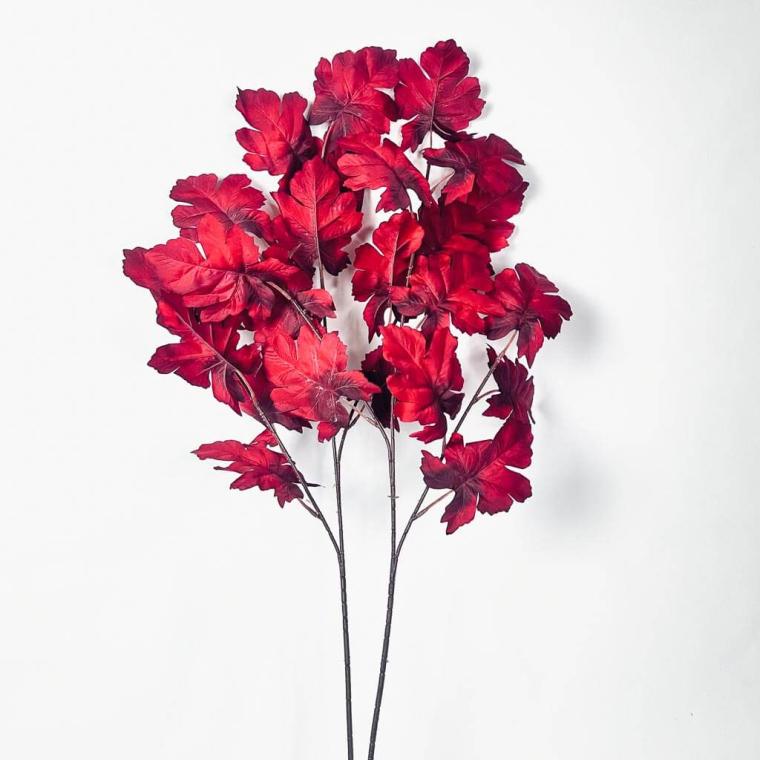 Загружен программно: 1754227532318006.jpg