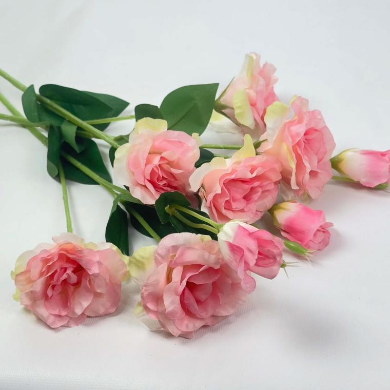 Загружен программно: 1757067780847476.jpg