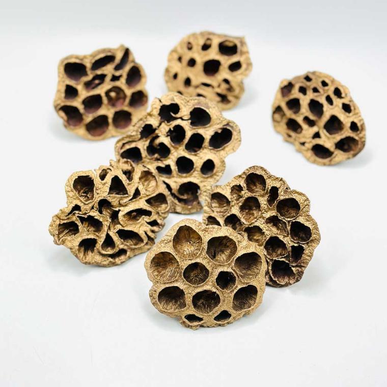 Загружен программно: 1761590186423542.jpg