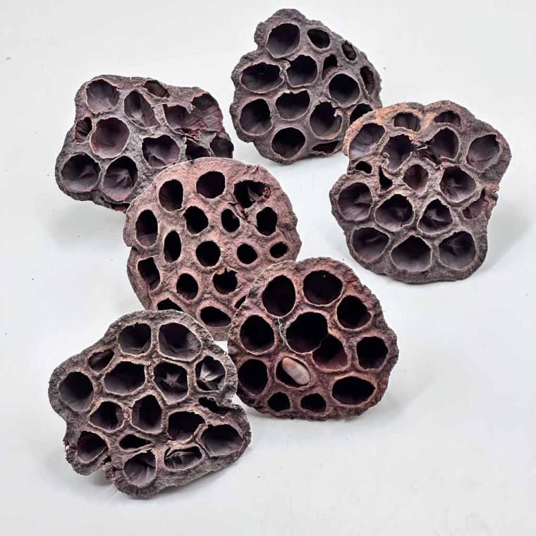 Загружен программно: 1761590196676261.jpg