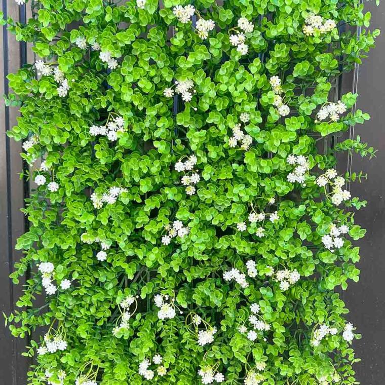 Загружен программно: 1762442002819494.jpg