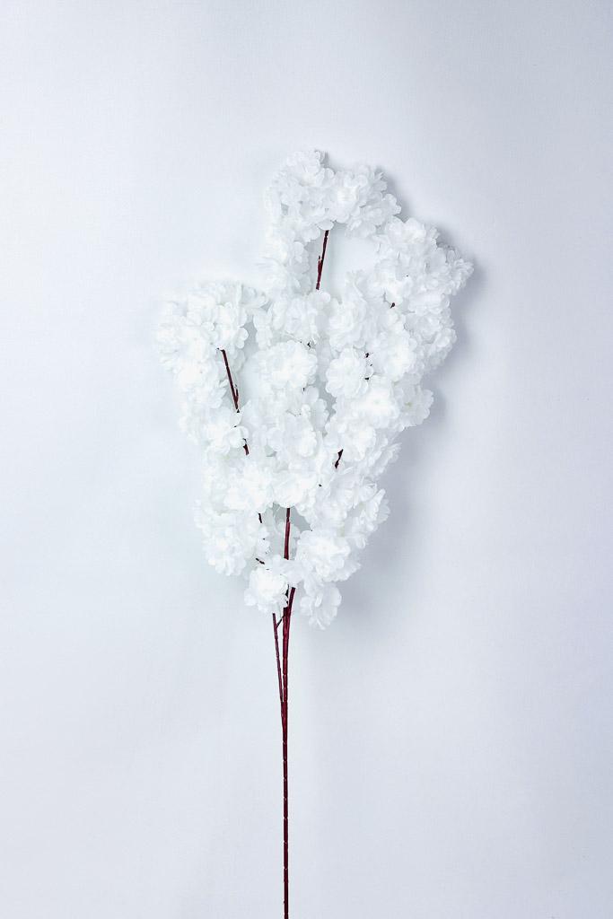 Загружен программно: 1770978418862298.jpg