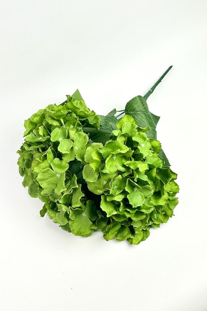 Загружен программно: 1772219179472187.jpg