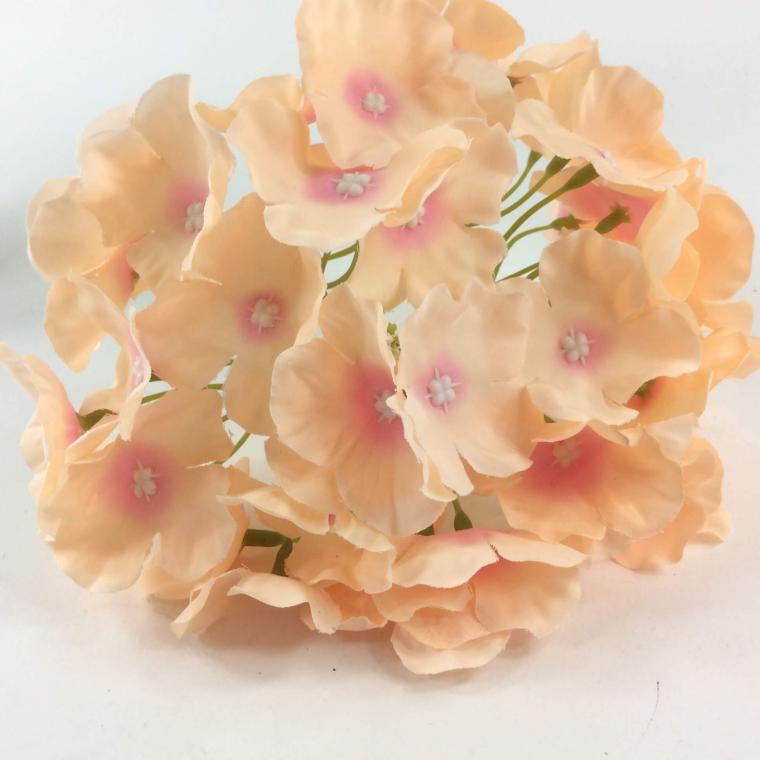 Загружен программно: 1b4c65d4-47e4-418b-89f9-18e02787330a.jpeg