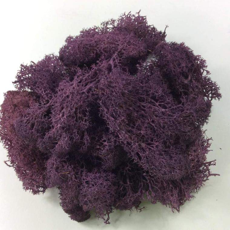 Загружен программно: 1ddc23d7-e757-40f6-bb24-1769135101cb.jpeg