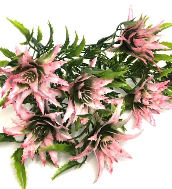 Загружен программно: 2bc8faaa-60c5-4c71-b271-5418d1041c06.jpeg