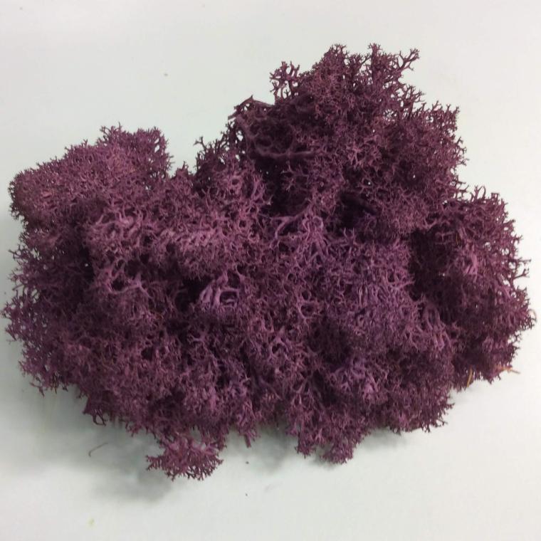 Загружен программно: 307cb28b-19fb-4b2e-a67b-ea12b4880977.jpeg