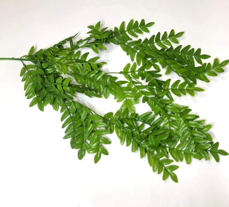 Загружен программно: 3_2.jpg