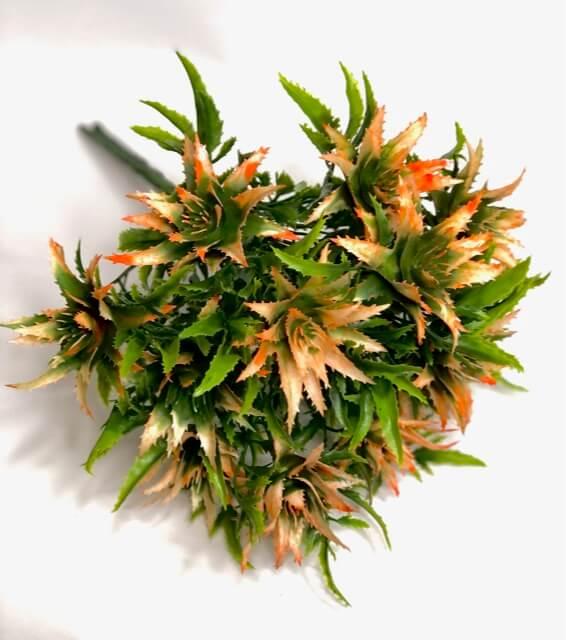 Загружен программно: 5a73fd09-f874-4361-8c3b-b0e811e87e92.jpeg