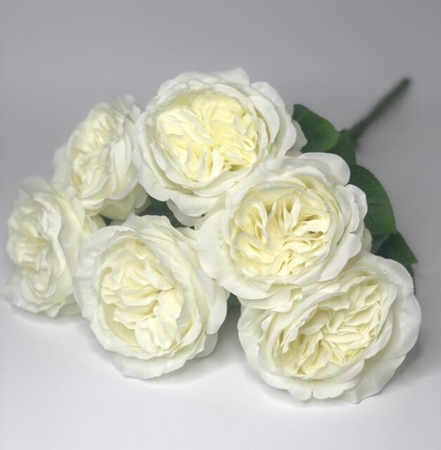 Загружен программно: 601da28f-7576-43aa-8c83-91ee79a9966d.jpeg