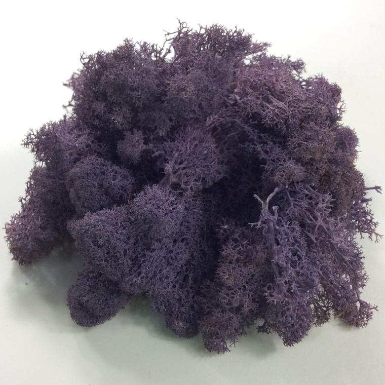 Загружен программно: 8228f810-3a21-46f3-92fb-fab11da9ea33.jpeg