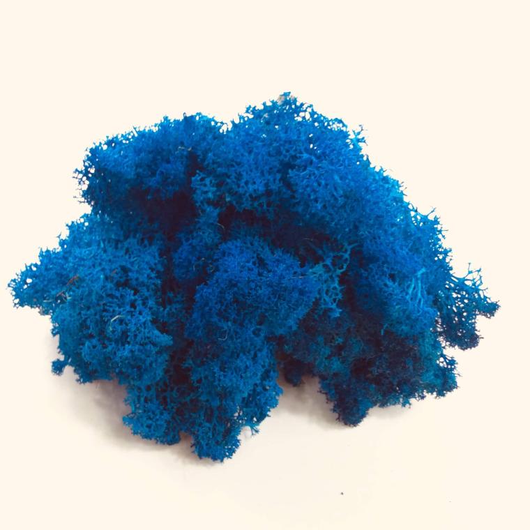 Загружен программно: 8983012b-7e9d-4214-ac51-0b71f4f2e4a9.jpeg