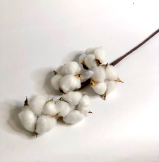 Загружен программно: 906c8c23-1d69-4951-9c9c-1b2979ff7494.jpeg