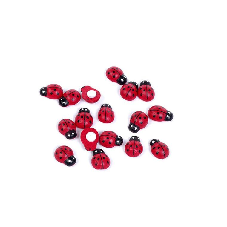 Загружен программно: bukashki_melkie_na_lipuchkah.jpg