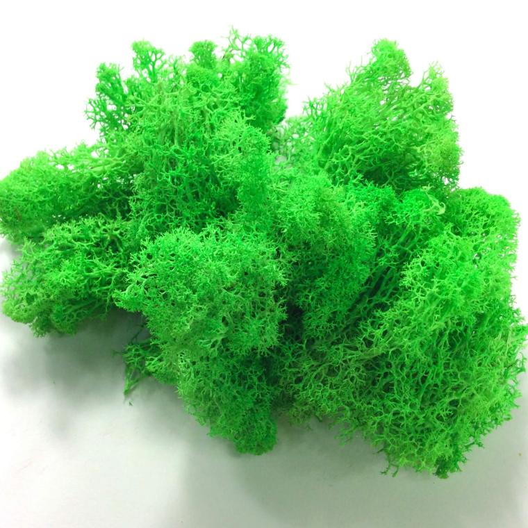 Загружен программно: cc1b3b58-d0c5-47d9-ad02-bc9550594f13.jpeg