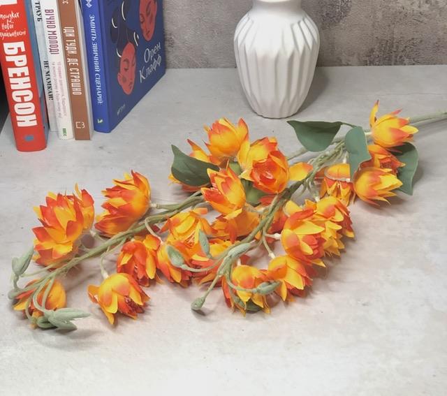 Загружен программно: ccb8b002-3268-489f-9071-a6b60370fd4d.jpeg