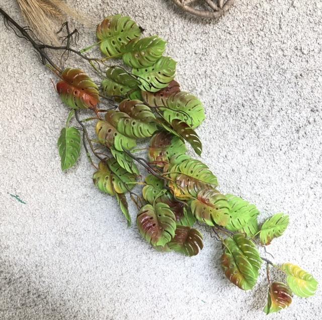 Загружен программно: e71e42e6-0de7-4d1f-822f-e00fba5e1f67.jpeg