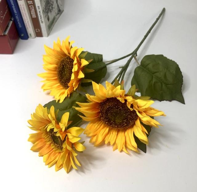 Загружен программно: fbff5a59-17e3-4361-8a99-840b07978711.jpeg