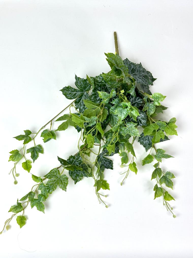 Загружен программно: img_0029.jpeg