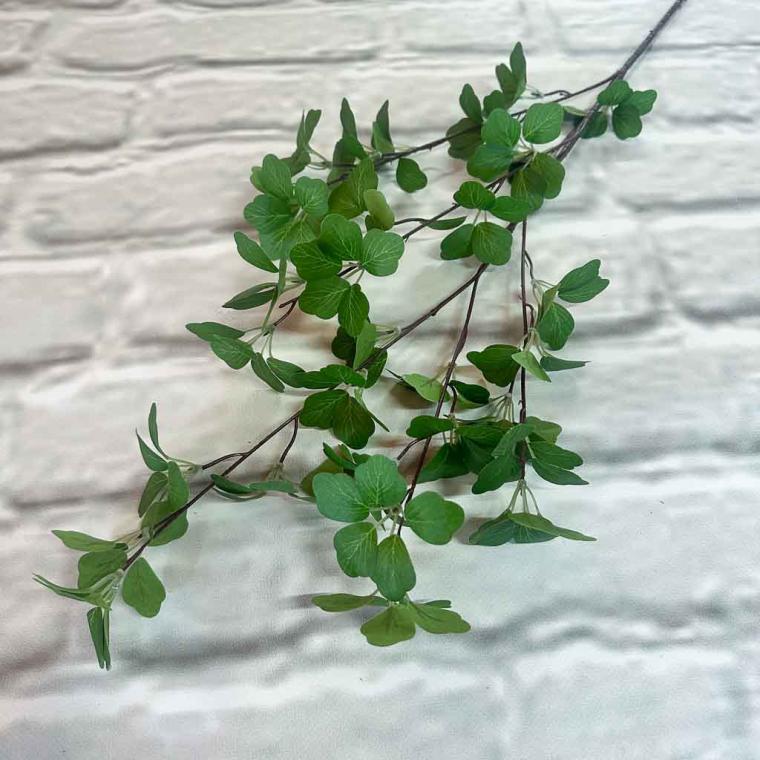 Загружен программно: img_0862.jpg