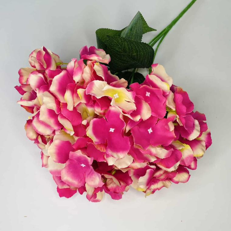 Загружен программно: img_1022.jpg