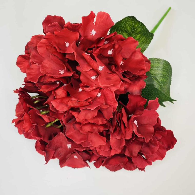 Загружен программно: img_1024.jpg