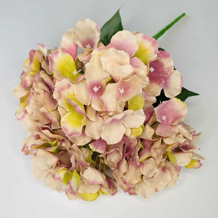 Загружен программно: img_1026.jpg