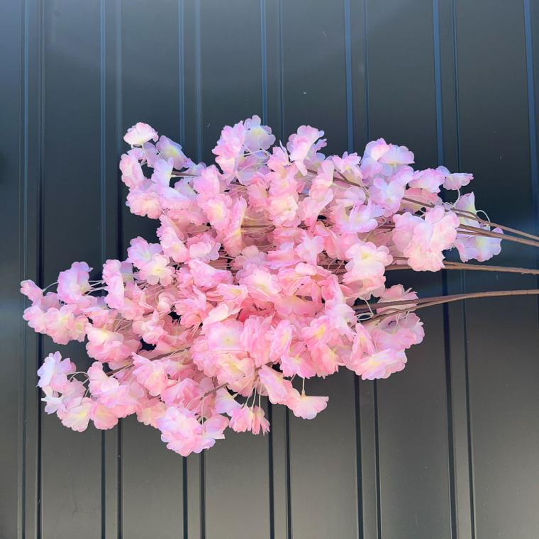 Загружен программно: img_1057.jpg